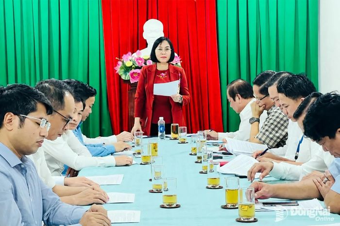 Thành ủy viên, Phó Chủ tịch UBND thành phố Nguyễn Thị Hoàng phát biểu tại buổi làm việc. Ảnh: Kim Liễu