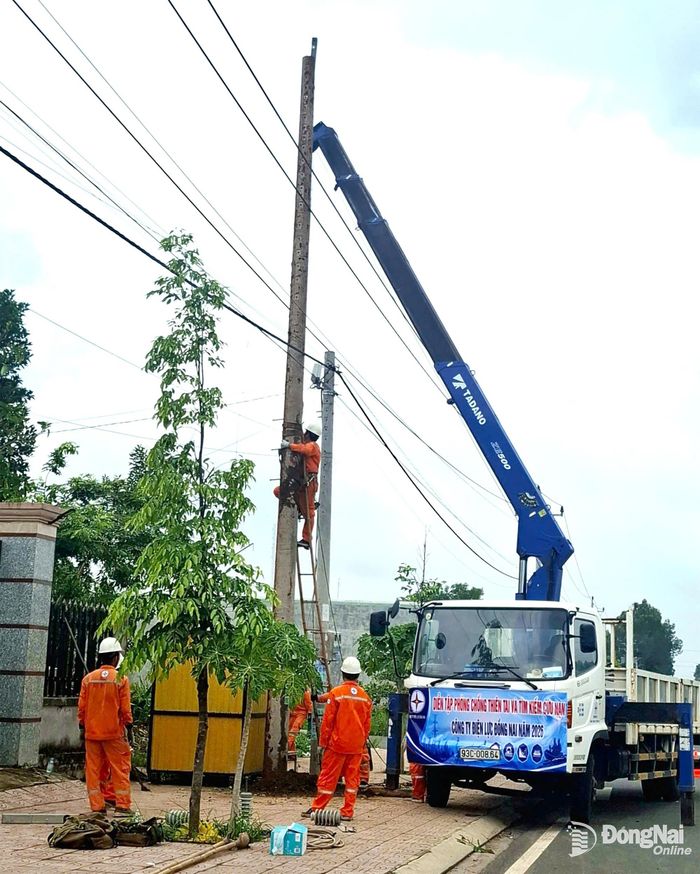 Các nhóm thực hiện nhiệm vụ được phân công. Ảnh: Ngọc Huyền
