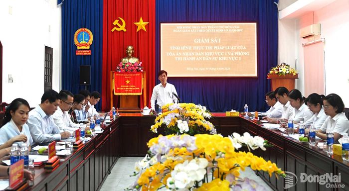 Trưởng ban Pháp chế HĐND thành phố Nguyễn Thanh Thuyên phát biểu tại buổi giám sát. Ảnh: Phạm Quang