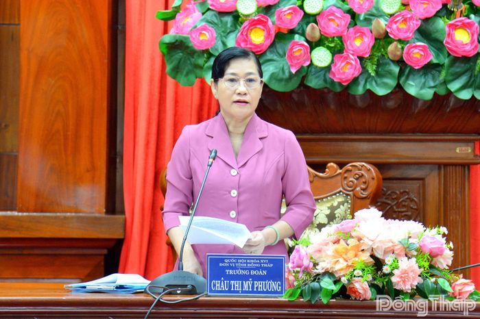Đồng chí Châu Thị Mỹ Phương, Phó Bí thư Tỉnh ủy, Trưởng Đoàn Đại biểu Quốc hội khóa XVI tỉnh Đồng Tháp phát biểu tại hội nghị.