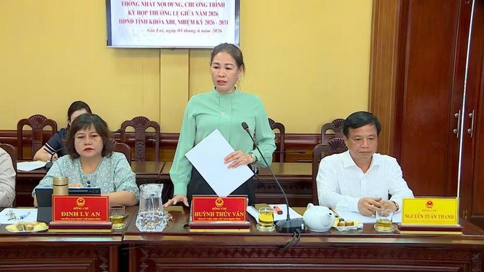  Phó Chủ tịch HĐND tỉnh Huỳnh Thúy Vân cho ý kiến đối với dự kiến chương trình kỳ họp. Ảnh: Dũng Nhân 