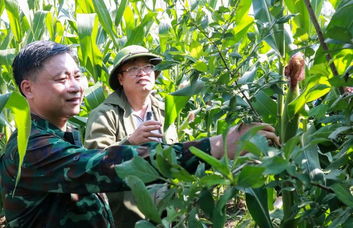 Kiểm tra mô hình kinh tế tại thôn Láo Sáng.
