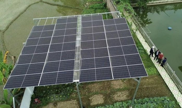 Nhiều hộ dân trong tỉnh đã chủ động lắp điện mặt trời mái nhà để tiết kiệm chi phí và góp phần cải thiện môi trường.