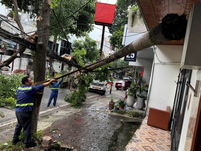 Công nhân Công ty Cổ phần Môi trường đô thị tỉnh đã kịp thời có mặt tại hiện trường để dọn cây gãy đổ.
