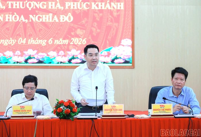 Chủ tịch UBND tỉnh Nguyễn Tuấn Anh phát biểu tại buổi làm việc.