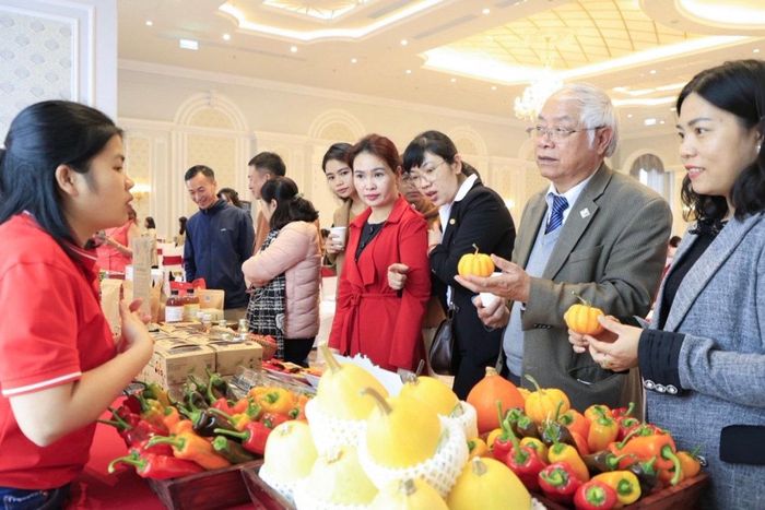 Sản phẩm của doanh nghiệp Lâm Đồng được hỗ trợ tham gia quảng bá, giới thiệu và phát triển thị trường cả trong nước và quốc tế