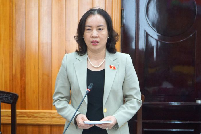 Thành viên của đoàn công tác phát biểu tại buổi làm việc