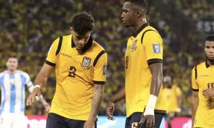 Pacho và Hincapie là điểm tựa cho hàng thủ Ecuador.