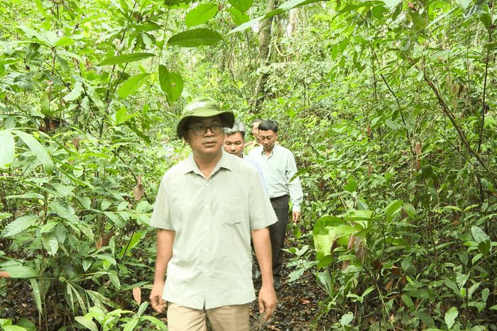 Phó Chủ tịch HĐND tỉnh Y Quang BKrông kiểm tra hiện trạng rừng tự nhiên ở xã Tánh Linh