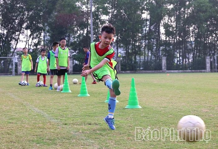 Trong những ngày hè, hơn 5h sáng, những cậu bé yêu thích môn thể thao vua đã có mặt tại sân cỏ tự nhiên Khu liên hợp Thể dục thể thao tỉnh để tập các bài dẫn bóng, chuyền bóng, sút bóng...