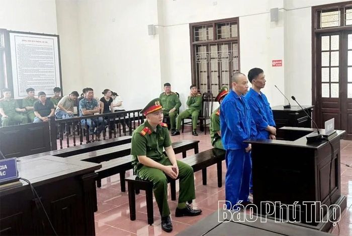 Với hành vi vận chuyển trái phép gần 30kg ma túy, cả 2 bị cáo Cao Mạnh Tiến và Nguyễn Thái Sơn cùng phải nhận mức án tù chung thân.