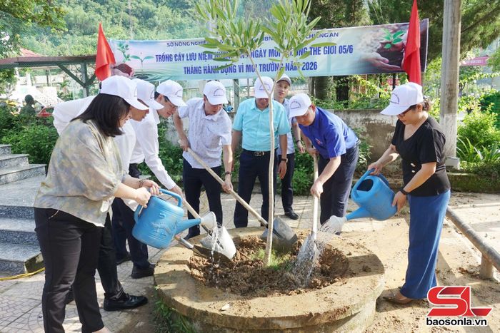 Các đại biểu tham gia trồng cây sau lễ phát động.