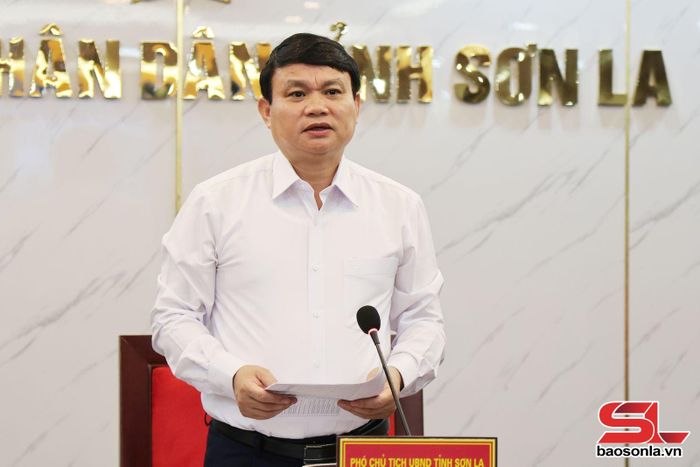 Đồng chí Đặng Ngọc Hậu, Phó Chủ tịch UBND tỉnh phát biểu tại cuộc họp.