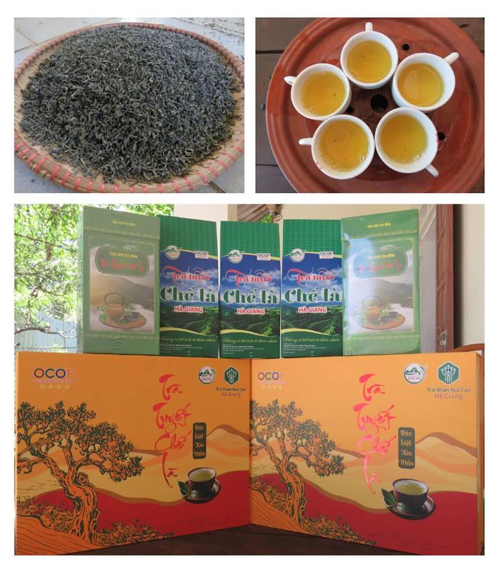 Trà tuyết Chế Là từng bước khẳng định thương hiệu, trở thành sản phẩm OCOP 4 sao của địa phương