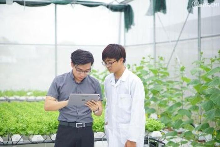  Anh Đặng Xuân Trường (áo xám) - CEO Công ty Cổ phần Công nghệ cao Hachi Việt Nam. Ảnh: NVCC. 