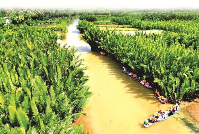  Rừng dừa nước để thu hoạch lấy mật cũng là điểm đến về du lịch sinh thái của anh Thương. Ảnh: N.Y 