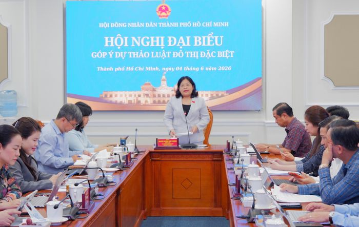 Phó Chủ tịch HĐND thành phố Nguyễn Trường Nhật Phượng phát biểu. Ảnh: Hoa Lê
