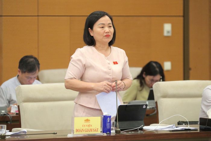Phó Chủ nhiệm Ủy ban Kinh tế và Tài chính Phạm Thúy Chinh phát biểu