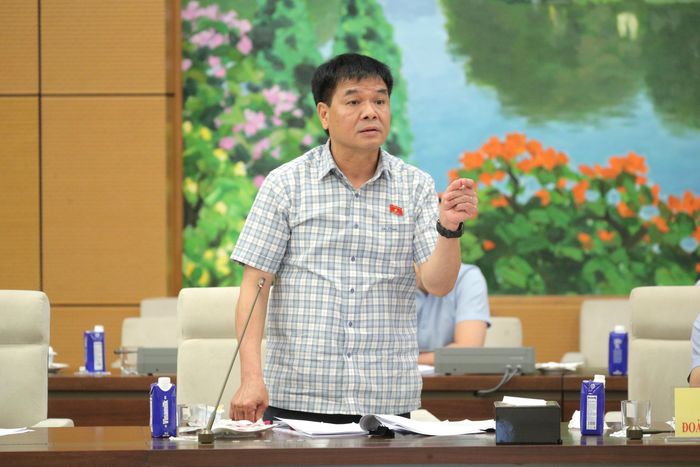Phó Chủ nhiệm Ủy ban Kinh tế và Tài chính Nguyễn Hữu Toàn phát biểu