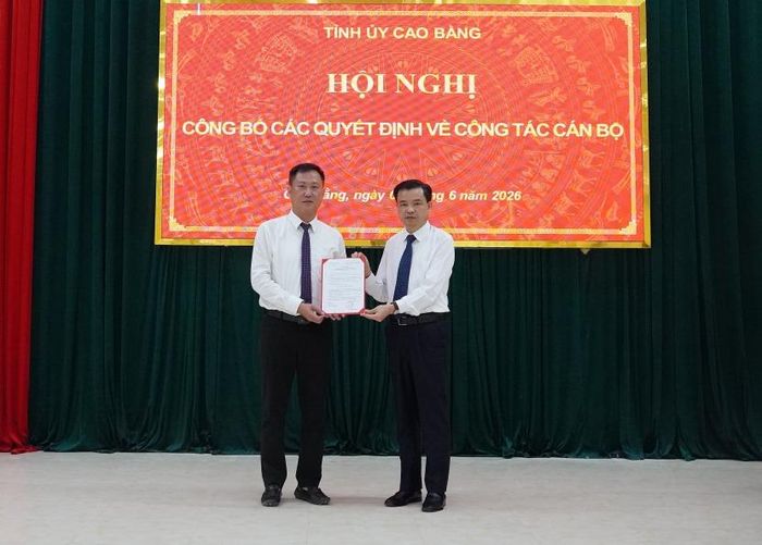 Đồng chí Bế Thanh Tịnh, Phó Bí thư Thường trực Tỉnh ủy, Trưởng Đoàn đại biểu Quốc hội tỉnh trao quyết định cho đồng chí Vũ Anh Tuấn.