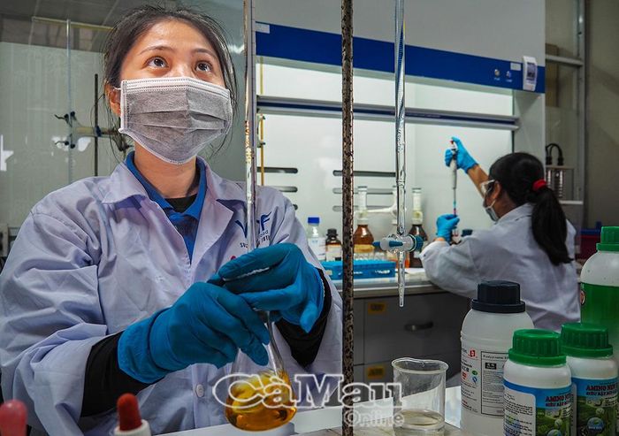 Chị Mai Anh Thư, Kỹ thuật viên Hóa phân tích, Công ty Cổ phần Việt Nam Food, phân tích hàm lượng trong dịch thủy phân từ đầu, vỏ tôm.