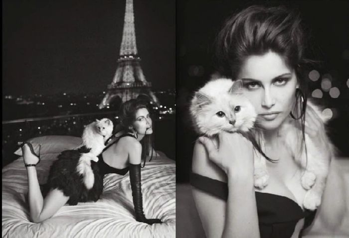 Choupette chụp hình với người mẫu Laetitia Casta năm 2012. Ảnh: Elle.