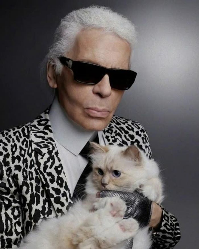 Sau khi Karl Lagerfeld qua đời, Choupette được trao cho Françoise Caçote chăm sóc và vẫn có cuộc sống sang chảnh. Ảnh: IG.