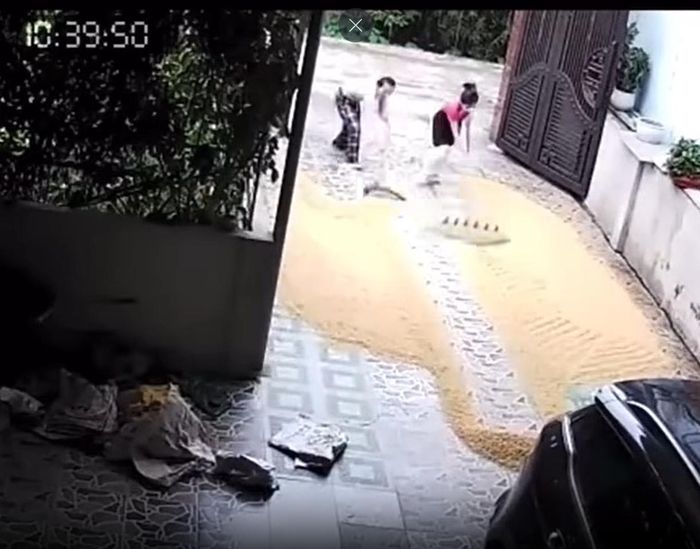 Cảnh cắt từ video.