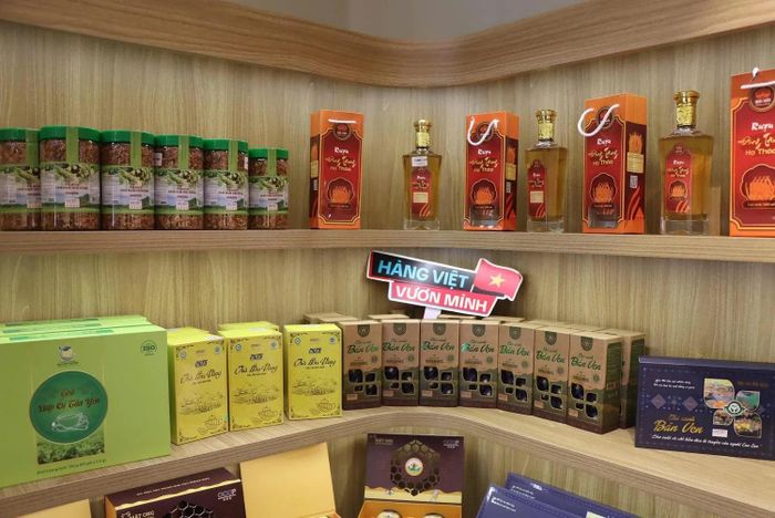  Từ nguồn dược liệu quý sâm Núi Dành, các hợp tác xã đã phát triển nhiều dòng sản phẩm như trà sâm, nụ hoa sâm, rượu sâm phục vụ nhu cầu bồi bổ sức khỏe.