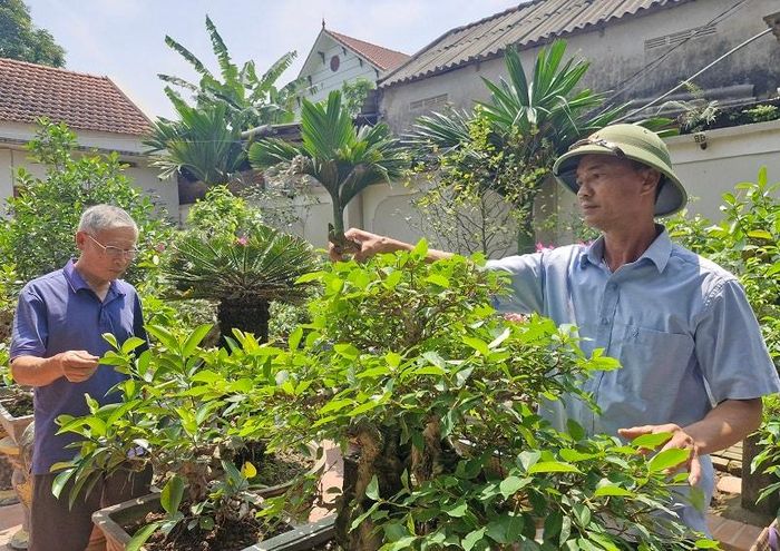 Vườn cây cảnh của gia đình ông Nguyễn Văn Thành ở thôn Duyên Yết góp phần điều hòa nhiệt độ, cải thiện không gian sống. Ảnh: PV