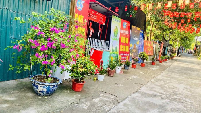 Những chậu hoa rực rỡ góp phần thay đổi diện mạo nhiều tuyến đường tại phường Phú Diễn.