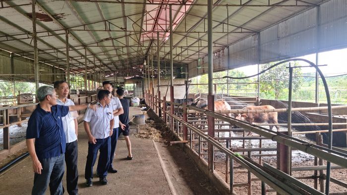 Đoàn công tác kiểm tra cơ sở giết mổ trâu bò trên địa bàn xã Liên Minh. Ảnh: Ánh Dương