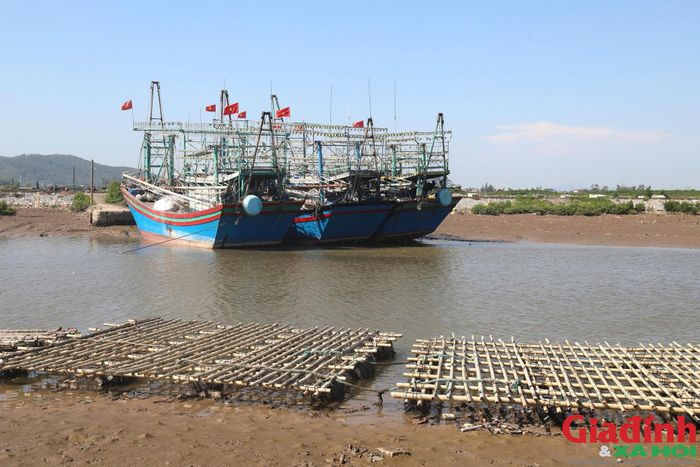 Cùng với sự phát triển tự phát của nghề nuôi hàu, tình trạng luồng lạch bị thu hẹp, vỏ hàu chất đống ven sông đang gây áp lực lên môi trường và giao thông đường thủy.