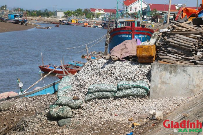 Khối lượng lớn vỏ hàu được đổ trực tiếp xuống sông đe dọa môi trường sinh thái, tiềm ẩn nguy cơ mất an toàn giao thông đường thủy đối với tàu, thuyền của ngư dân.