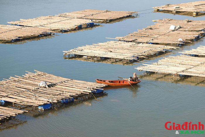 Dọc sông Hoàng Mai, hàng loạt lồng bè nuôi hàu trái phép chia cắt mặt nước, bó hẹp luồng lạch và ảnh hưởng đến việc ra vào khu neo đậu của tàu thuyền.