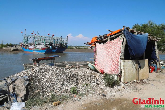 Vỏ hàu đổ tràn lan bên bờ của luồng tuyến khu neo đậu tàu, thuyền khu vực cảng cá Lạch Cờn.