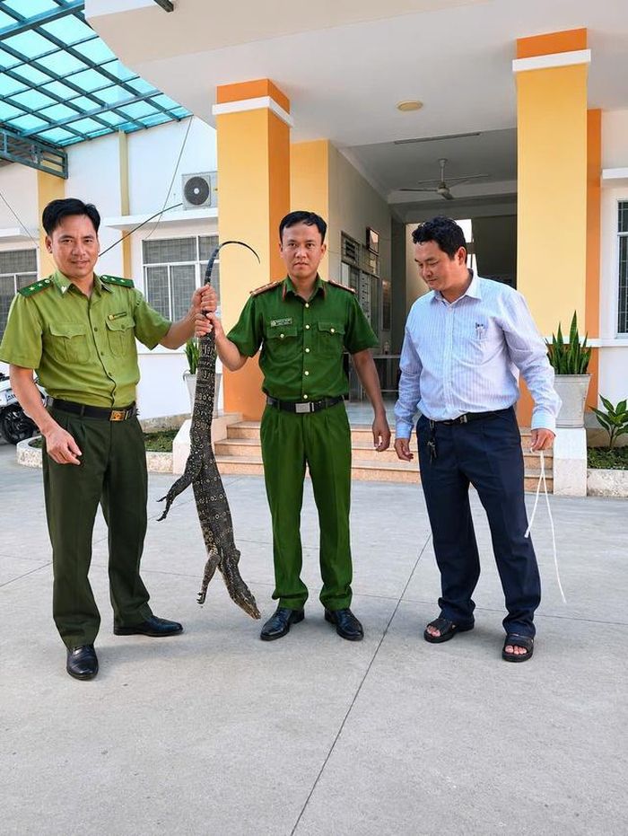 Hạt Kiểm lâm khu vực IV - Chi cục Kiểm lâm tỉnh Tây Ninh tiếp nhận cá thể Kỳ đà hoa và thực hiện chăm sóc, xử lý theo quy định. Ảnh: Công an tỉnh Tây Ninh