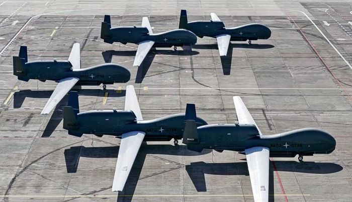 Về mặt kỹ thuật, RQ-4D Phoenix thuộc nhóm máy bay không người lái hoạt động ở độ cao lớn và thời gian bay dài.