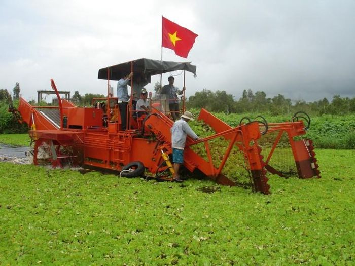 Sản phẩm máy cắt, vớt bèo, lục bình trên sông của Trường ĐH Công nghiệp TP.HCM được chuyển giao cho Vườn Quốc gia U Minh Thượng (tỉnh Kiên Giang cũ). Ảnh: IUH