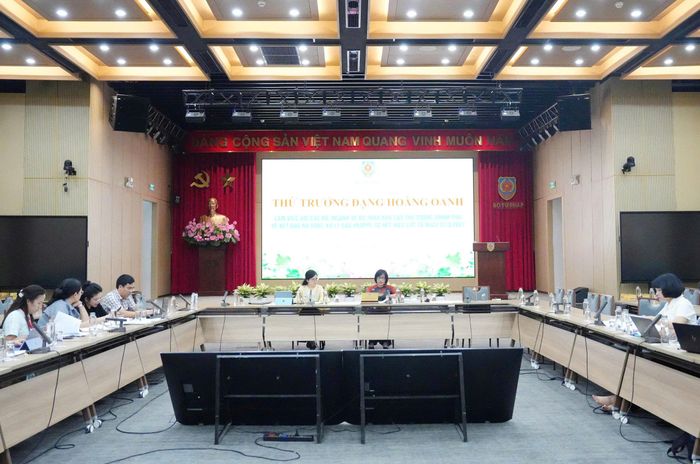  Nhiều văn bản sẽ hết hiệu lực vào ngày 1-3-2027. Ảnh: Hoàng Huy 