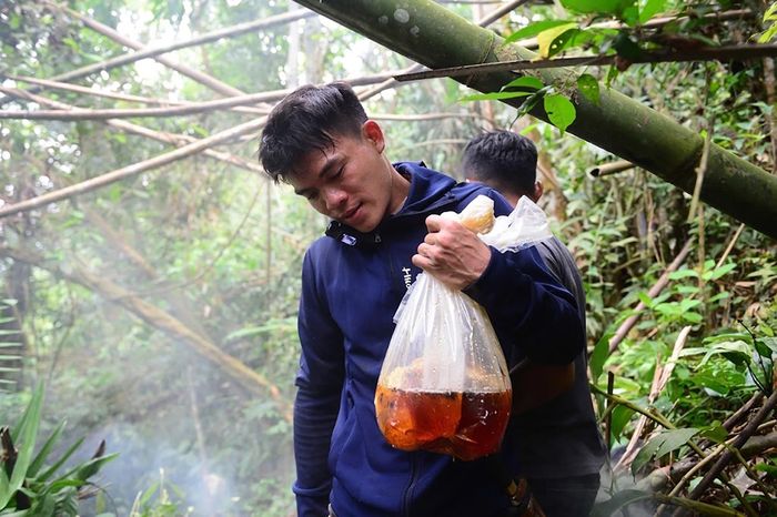  “Không phải ngày nào cũng đi. Thường chúng tôi nghỉ một, hai hôm rồi mới vào rừng tiếp. Có thời điểm ong làm tổ nhiều, cả nhóm phải dựng lán ở lại giữa rừng cả tuần để khai thác”, anh Hợp chia sẻ. 