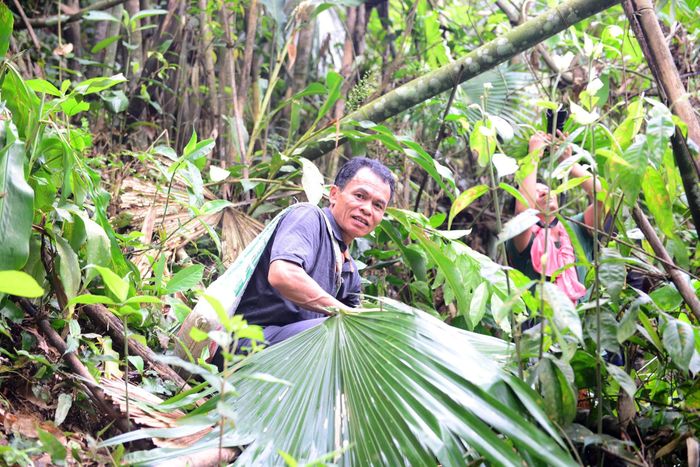 Thợ săn không đơn giản là đi rừng, mà là những cuộc đánh vật với tán cây rậm rạp và địa hình hiểm trở. Mỗi chuyến đi có thể băng qua hàng chục cây số, nơi những lối mòn cũ đã bị cây rừng che lấp, chỉ còn lại bản lĩnh và kinh nghiệm của người đi rừng dẫn lối. 