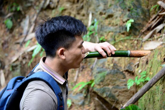  Theo chân những thợ săn ong rừng, sau nhiều giờ leo dốc, mồ hôi ướt đẫm lưng áo, chúng tôi dừng chân bên một khe đá để lấy nước. Những đoạn cây vầu chặt vội, khoét thành chiếc cốc tự nhiên để hứng nước uống trước khi tiếp tục cuộc hành trình. 