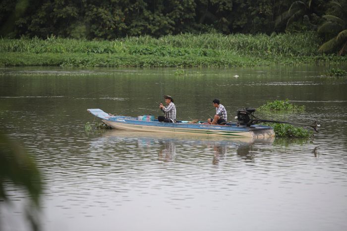  Tuyến đại lộ này được nối từ cầu Bến Súc (huyện Củ Chi cũ) dọc theo sông Sài Gòn đến điểm cuối là ngã ba Tôn Đức Thắng - Hàm Nghi (quận 1 cũ) dài 78,2 km. Tuyến sẽ hình thành hành lang cảnh quan và giao thông kết nối các khu vực phía bắc TP (quận 12, Củ Chi, Hóc Môn cũ) và phía nam (Nhà Bè, Cần Giờ cũ) với trung tâm thành phố. 
