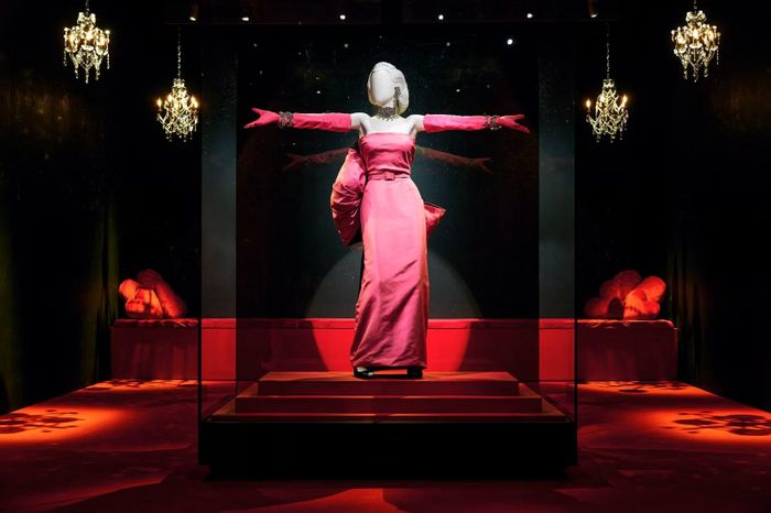  Điểm nhấn nổi bật nhất triển lãm là chiếc váy hồng Marilyn mặc trong bộ phim Gentlemen Prefer Blondes (1953), một hiện vật hiếm khi được đưa ra trưng bày. Bên cạnh đó, nhiều món đồ chưa từng xuất hiện trước công chúng như trang phục trong Love Happy (1949), thư từ và ảnh cá nhân, cũng xuất hiện trong triển lãm lần này. 