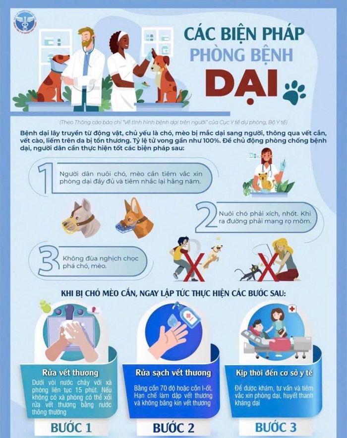 Người dân được khuyến cáo đi tiêm phòng vaccine ngay sau khi bị chó, mèo cào, cắn