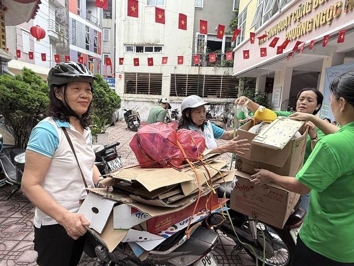 Hoạt động thu gom bìa giấy tái chế