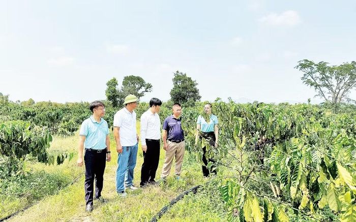 Các cán bộ tín dụng của ngân hàng trao đổi với người dân về mô hình sản xuất tổng hợp.