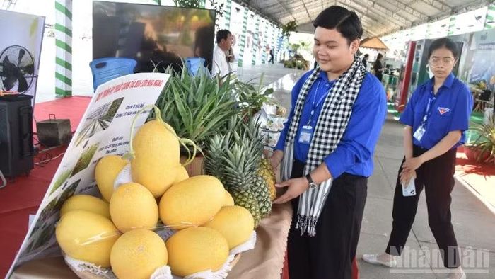 Khu trưng bày trái cây của Trường đại học Tiền Giang.