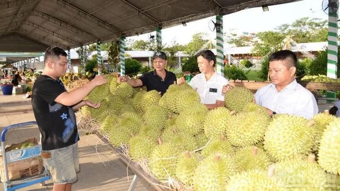 Sầu riêng là trái cây đặc sản của tỉnh Đồng Tháp.